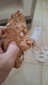 Lion — Sculpture ceramic sculpture by Damiano Derin, 